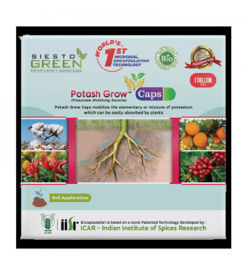 Potash Grow (Bio Fertilizer) - Pack of 2 Capsules